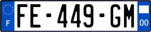 FE-449-GM