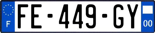 FE-449-GY