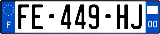 FE-449-HJ