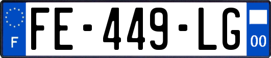 FE-449-LG