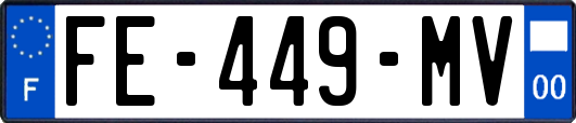FE-449-MV
