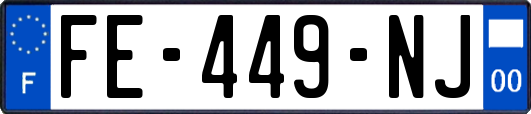 FE-449-NJ