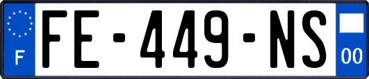 FE-449-NS