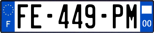 FE-449-PM