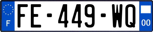 FE-449-WQ