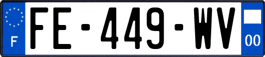 FE-449-WV