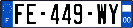 FE-449-WY