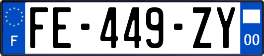 FE-449-ZY