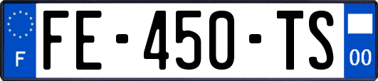 FE-450-TS
