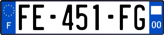 FE-451-FG