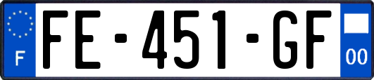 FE-451-GF