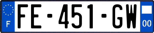 FE-451-GW