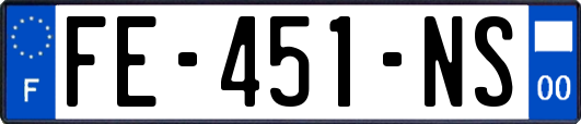 FE-451-NS