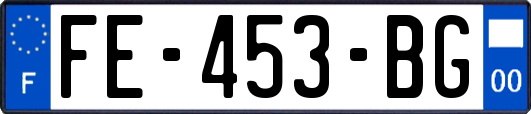 FE-453-BG