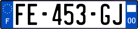FE-453-GJ