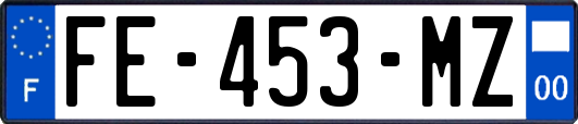 FE-453-MZ