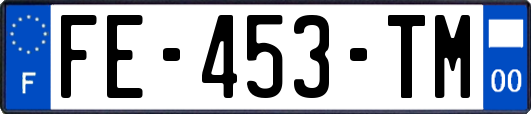 FE-453-TM