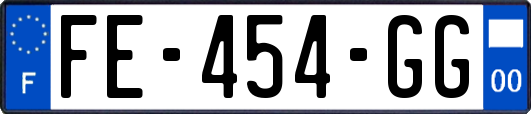 FE-454-GG