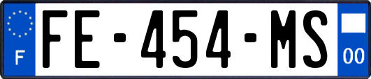 FE-454-MS