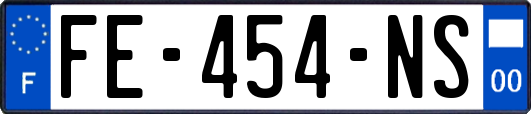 FE-454-NS