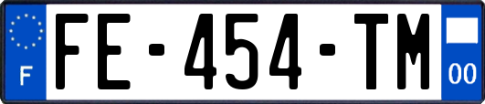 FE-454-TM