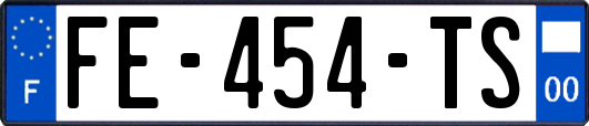 FE-454-TS