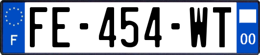 FE-454-WT