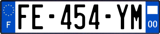 FE-454-YM