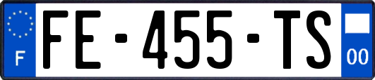FE-455-TS