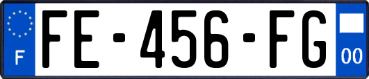 FE-456-FG