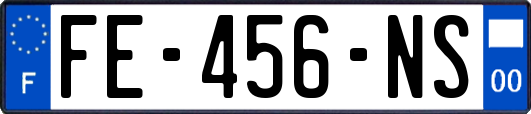 FE-456-NS