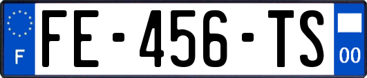 FE-456-TS