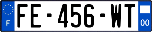 FE-456-WT