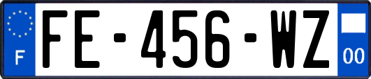 FE-456-WZ