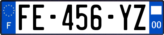 FE-456-YZ