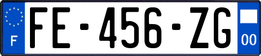 FE-456-ZG