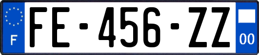 FE-456-ZZ