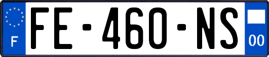 FE-460-NS