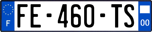 FE-460-TS