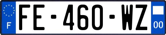 FE-460-WZ