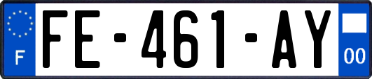 FE-461-AY