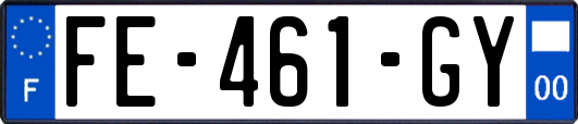 FE-461-GY