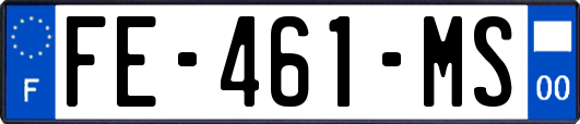 FE-461-MS