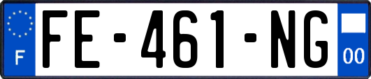 FE-461-NG