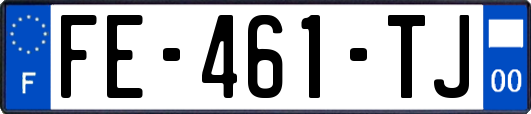 FE-461-TJ