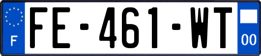 FE-461-WT