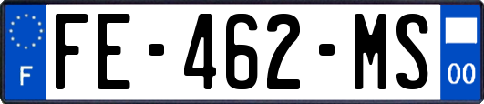 FE-462-MS