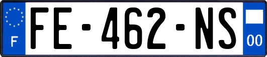 FE-462-NS