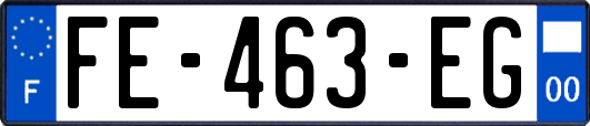 FE-463-EG