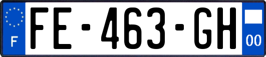 FE-463-GH